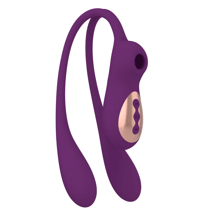 TRACY DOG PAMELA KEGAL VIB 